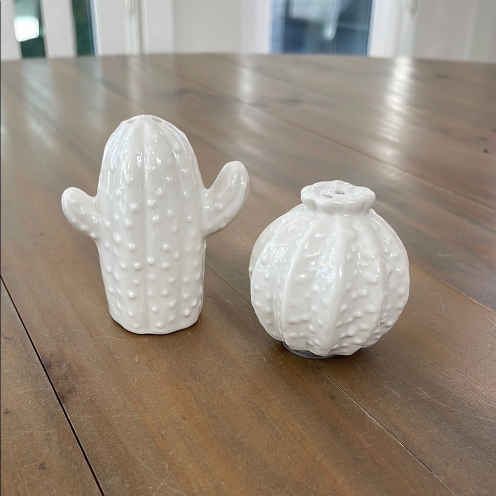 🌷5/$20🌷 Novelty Ceramic Cactus Salt & Pepper Shakers
